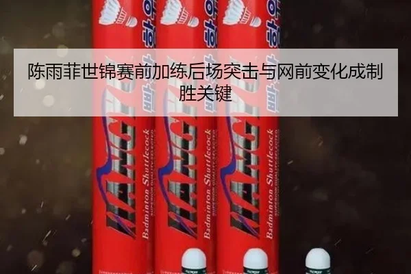 陈雨菲世锦赛前加练后场突击与网前变化成制胜关键